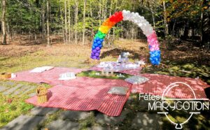 Décor de demande en mariage